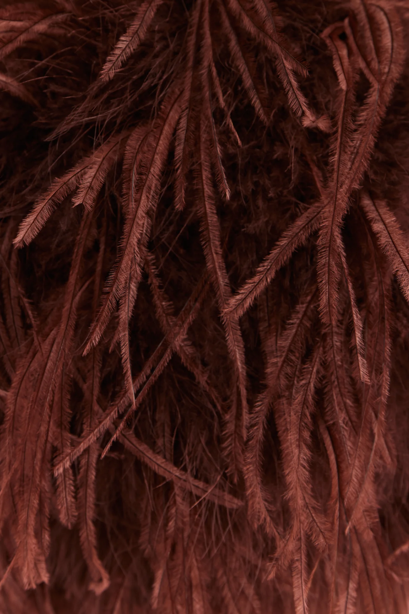 Chocolate Feather Bolero - Image 5