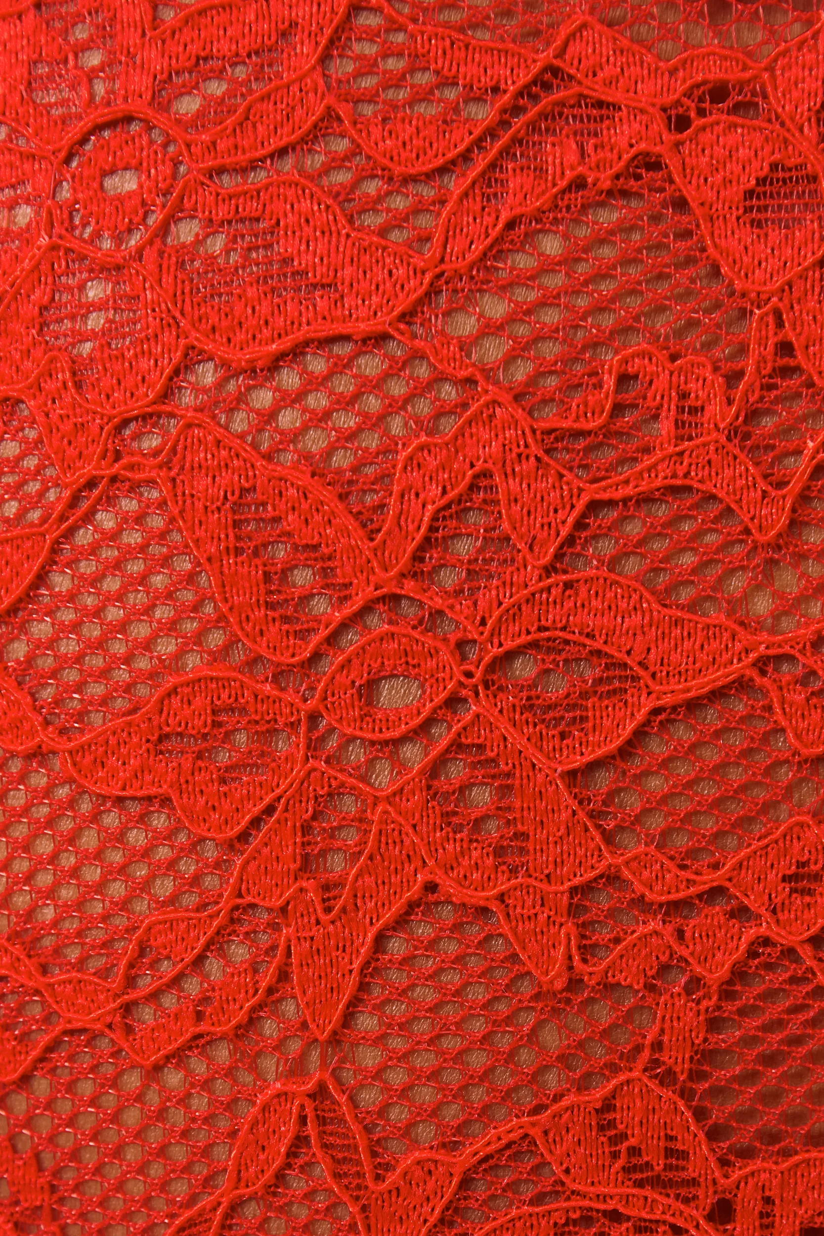 Geranium Rouge Lace Catsuit - Image 7